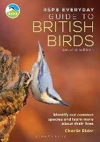 RSPB Everyday Guide to British Birds: Identify our common species and learn more about their lives