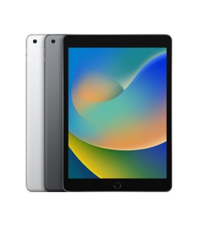 Apple iPad 9th Gen 10.2-inch Wi-Fi + Cellular