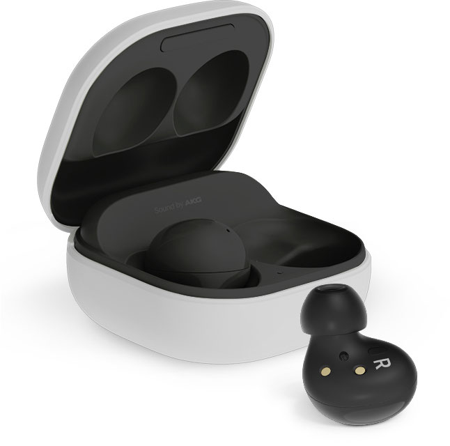 Samsung - Galaxy Buds 2 - Graphite