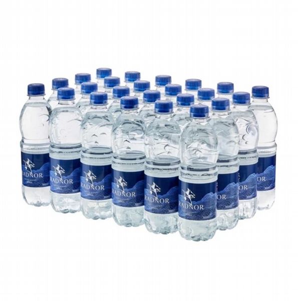 Radnor Hills Still Water 500ml (Pack of 24)